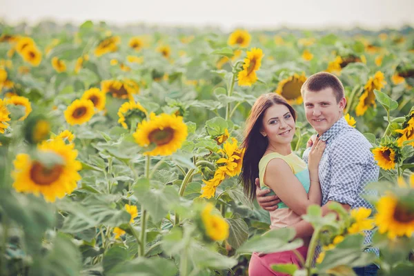 Junges Mädchen Und Ein Junger Mann Einem Sonnenblumenfeld — Stockfoto