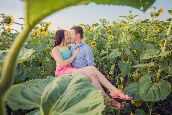 Junges Mädchen Und Ein Junger Mann Einem Sonnenblumenfeld — Stockfoto
