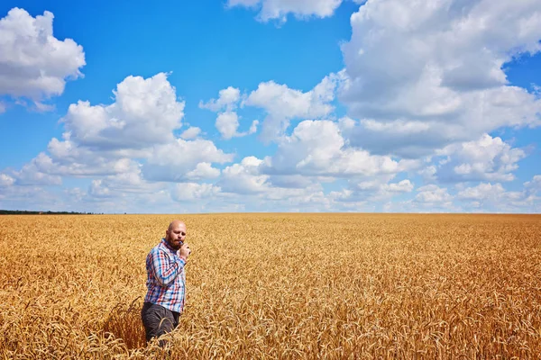 Farmář Kouří Elektronickou Cigaretu Přivolává Zralé Pole Pšenice Modrou Oblohou — Stock fotografie