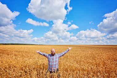 buğday alanında ayakta, kırpma seyir çiftçi