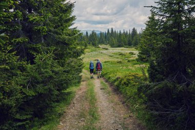 Arkadan görünüş orman üzerinde iz yolda yürürken iki genç insan. Genç çift sırt çantaları ile hiking.