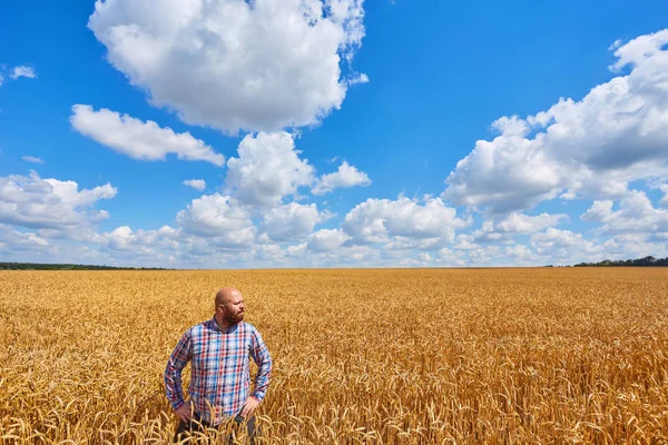 Γεωργός Στέκεται Έναν Τομέα Σίτου Εξετάζοντας Την Καλλιέργεια — Φωτογραφία Αρχείου
