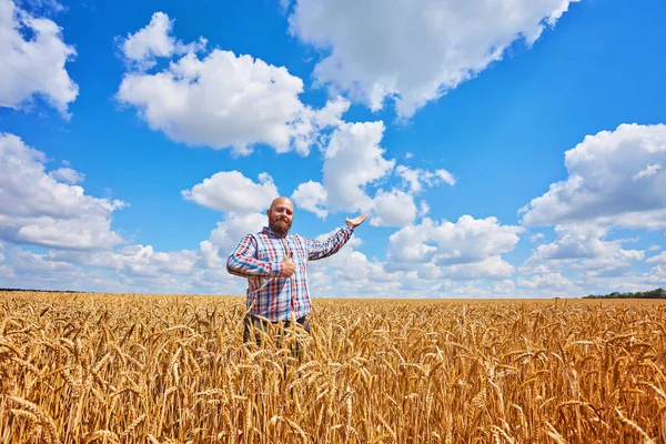 Boer Permanent Een Tarweveld Kijken Naar Het Gewas — Stockfoto