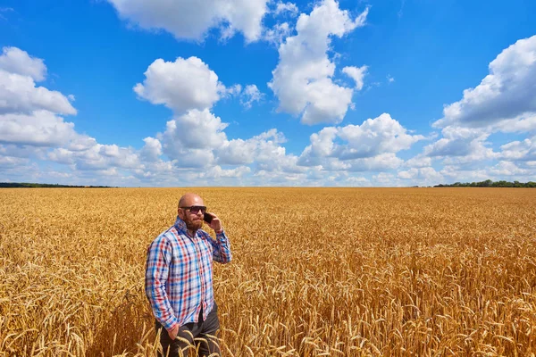 Boer Rookt Elektronische Sigaret Roepen Een Rijp Veld Van Tarwe — Stockfoto