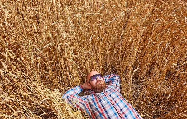 Γεωργός Άτριχα Hipster Ξαπλώστε Και Χαλαρώστε Στον Τομέα Του Σίτου — Φωτογραφία Αρχείου