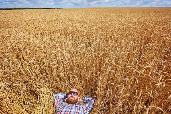 一个农夫或无毛的时髦躺下放松在麦田 — 图库照片