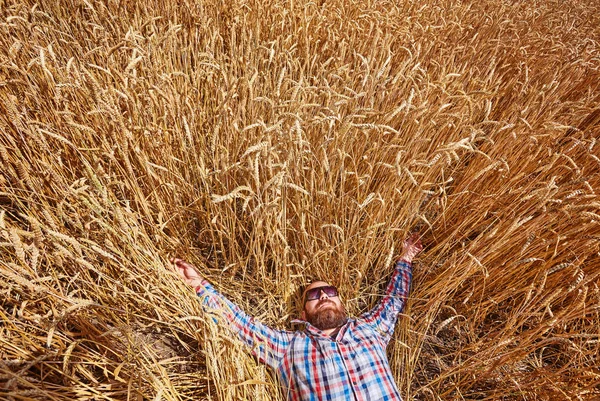 Фермер Стоящий Пшеничном Поле Глядя Урожай — стоковое фото