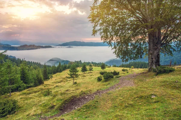 Dağlarda Güzel Yaz Peyzaj Sunrise — Stok fotoğraf