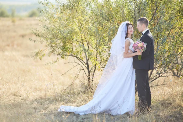 Bir Yaz Çayır Dışında Romantik Anları Zevk Genç Düğün Çifti — Stok fotoğraf