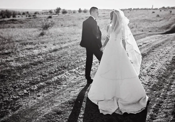 Hand Hand Gehen Braut Und Bräutigam Durchs Feld Glückliche Braut — Stockfoto