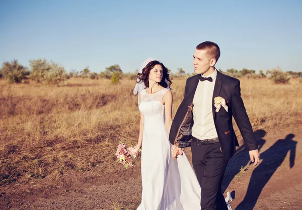 Jonge Bruidspaar Genieten Van Romantische Momenten Buiten Een Zomer Weide — Stockfoto