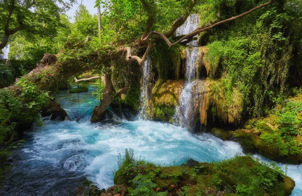 美丽的石灰石瀑布森林与软水 — 图库照片