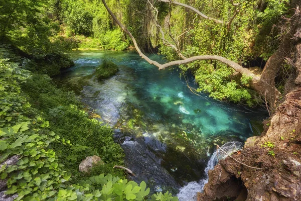 Pond Kirkkaalla Sinisellä Vedellä Trooppisessa Metsässä — kuvapankkivalokuva