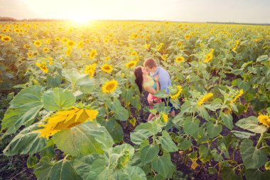 ayçiçeği bir alanda kız ve adam
