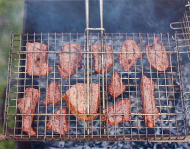 Ormanda Barbekü. doğaya karşı. Barbekü et pişirme işlemi, çekim.