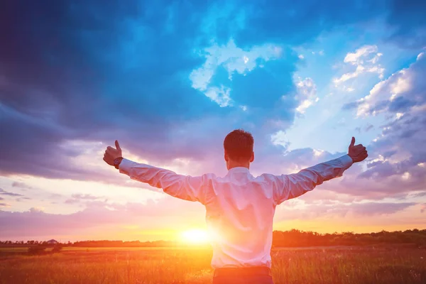 Hombre de negocios en campo verde y puesta de sol —  Fotos de Stock