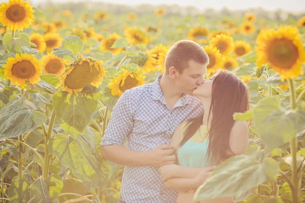 Dívka a muž na poli slunečnic — Stock fotografie