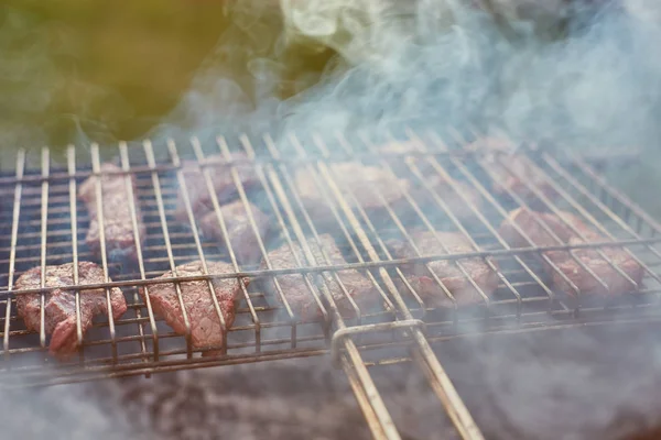 Grill w lesie. shashlik na łonie natury. Proces gotowania mięsa na grillu, zbliżenie. — Zdjęcie stockowe