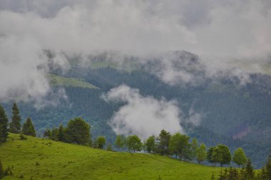 doğa panorama yeşil orman dağ sis bulutu seyahat