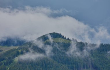 doğa panorama yeşil orman dağ sis bulutu seyahat