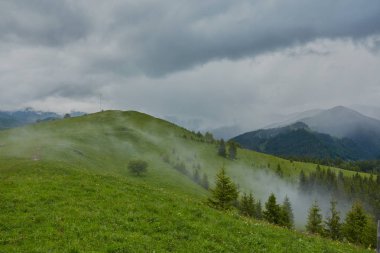 dağlık manzara ormanlık tepeleri ile. güzel yaz