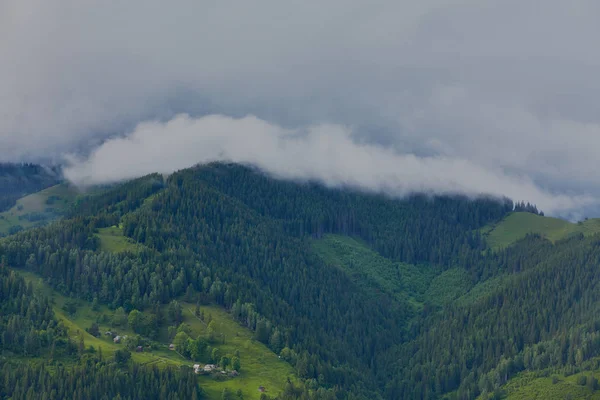 Δασωμένο λοφίσκο κύλισης σε μια συννεφιασμένη μέρα. υπέροχη φύση τοπίο της ορεινής υπαίθρου. — Φωτογραφία Αρχείου