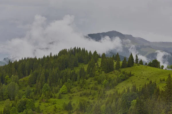 Φύση πράσινο δάσος Πανόραμα βουνό σύννεφο ομίχλης ταξίδια — Φωτογραφία Αρχείου