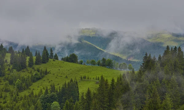 Skogsklädda rullande hill en molnig dag. härlig natur landskap bergigt landskap. — Stockfoto