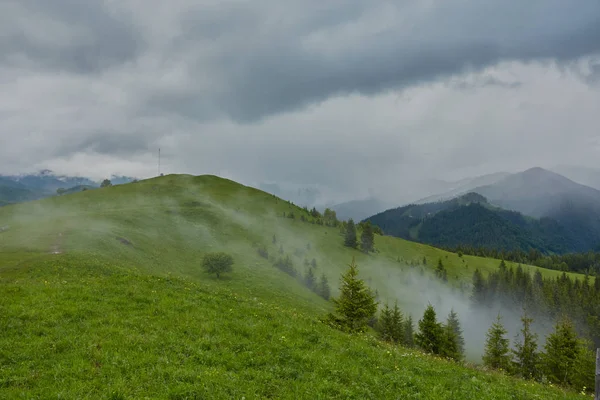 Bergige Landschaft mit bewaldeten Hügeln. schöner Sommer — Stockfoto