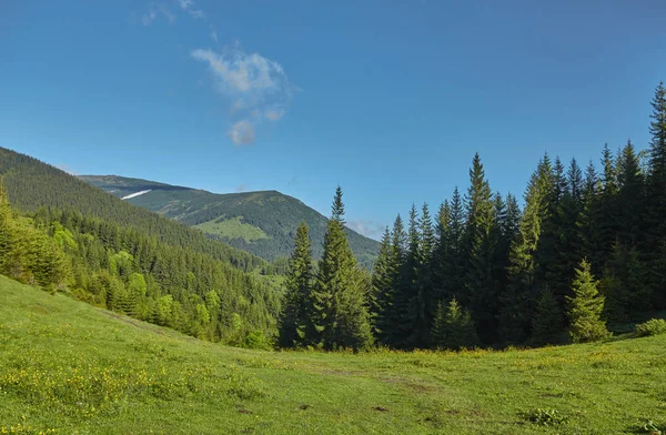 Colline vallonnée boisée par une journée nuageuse. beaux paysages naturels de campagne montagneuse . — Photo