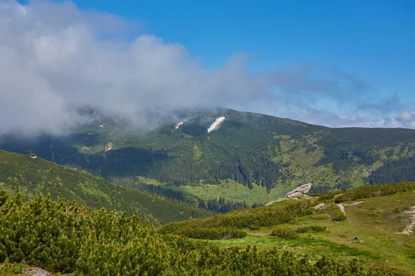 Letni krajobraz w górach i ciemnoniebieskie niebo — Zdjęcie stockowe
