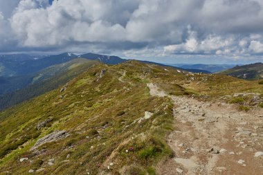 Bileşik manzara. çit Dağları'nda yamaç çayır üzerinde çapraz road yakınındaki.
