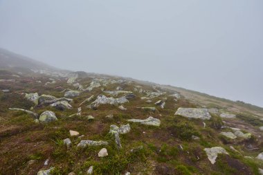 bulutlu bir günde ormanlık haddeleme tepede. Dağlık kırsal toplayan güzel doğa.