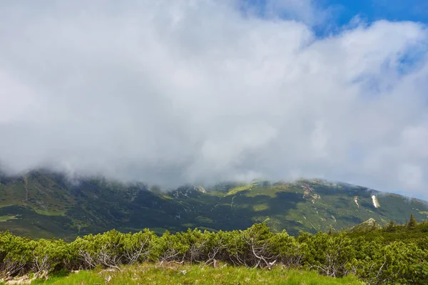 Floresta rolando colina em um dia nublado. paisagem encantadora natureza de paisagem montanhosa . — Fotografia de Stock