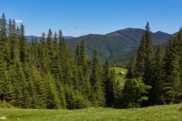 Paysage estival dans les montagnes et le ciel bleu foncé — Photo