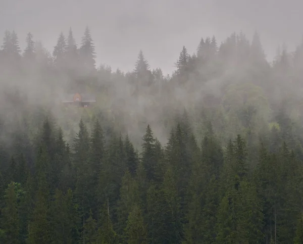 Doğa panorama yeşil orman dağ sis bulutu seyahat — Stok fotoğraf