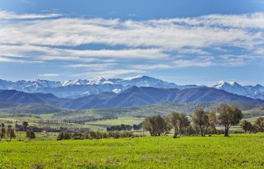 Fas, yüksek Atlas manzara. Ouarzazate.Spingtime, giden yolda Marrakech yakınındaki Vadisi güneşli bir gün. Afrika.