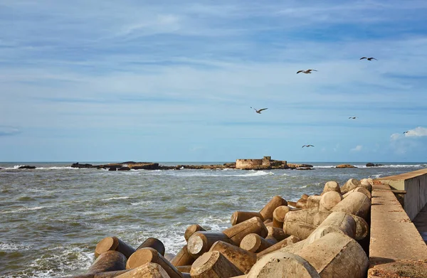 Port Essaouira Morocco Local Fishing Boats Seagulls Fishing Nets Sunny — Stock Photo, Image