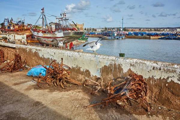 Porto Essaouira Marocco Con Barche Pesca Locali Gabbiani Reti Pesca — Foto Stock