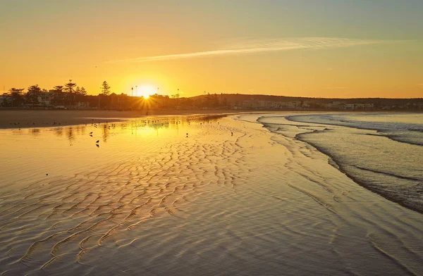 Ρομαντικό Ηλιοβασίλεμα Στην Παραλία Γλάρους Αντανακλάσεις Του Νερού Και Τους — Φωτογραφία Αρχείου