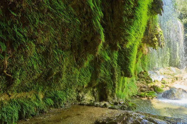 Grön Mossa Stenar Gammal Vägg Hittade Skogen Kort Skärpedjup — Stockfoto