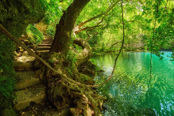 アンタルヤ トルコ 中東で深い森に美しい滝があります Kurshunlu — ストック写真