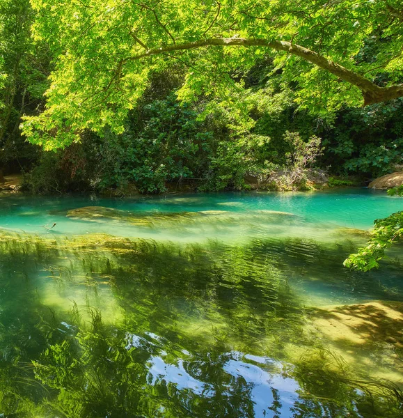 池塘与清除在热带森林中的蓝色水 — 图库照片