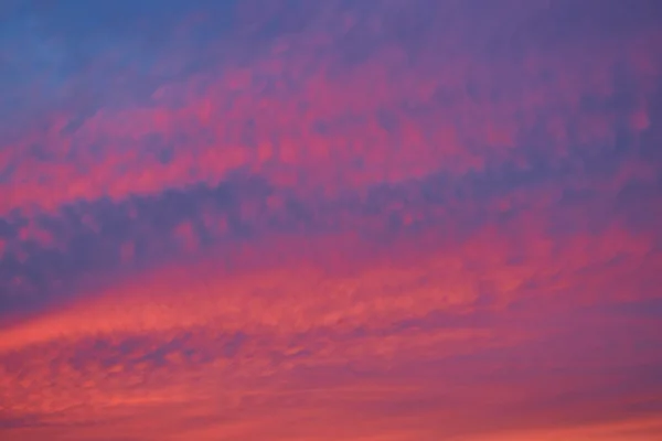 Evening Sky Sunset Sky Background Fantastic Nature Background Dramatic Bright — Stock Photo, Image