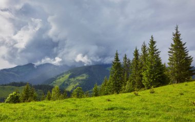bulutlu bir günde ormanlık haddeleme tepede. Dağlık kırsal güzel doğa toplayan. erken sonbaharda güzel hava