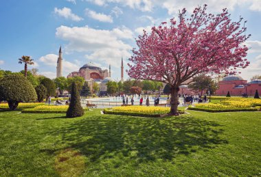 Istanbul'da Ayasofya. Ayasofya Bazilikası Türkiye'nin en iyi bilinen manzaraları biridir. Ayasofya'nın veya mavi gökyüzü arka plan üzerinde Aya Sofya. Ayasofya'nın doğal görünümünü gün güneşli yaz.