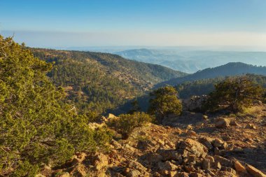 Atalanti Ulusal yolu. Chionistra dağ 1700 rakımda çevresinde iz gider-1,750 metre, siyah çam ağaçları ve kokulu ardıç yoğun alanlarda geçen.