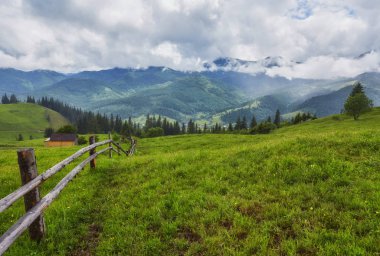 Gündoğumu sisli ormanı Karpat Dağları'nda. Sabah dağlar Panorama eski çit.