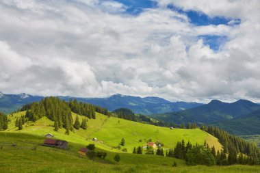 bulutlu bir günde ormanlık haddeleme tepede. Dağlık kırsal güzel doğa toplayan. erken sonbaharda güzel hava