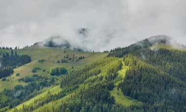 dağlık manzara ormanlık tepeleri ile. bulutlu bir günde güzel yaz sahne